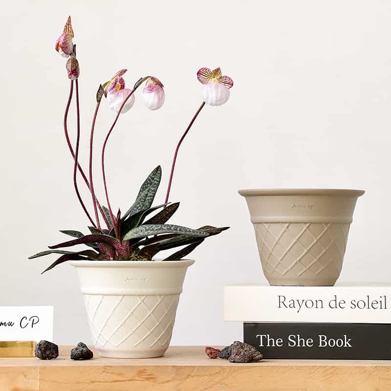 Ceramic Cone Planter – Minimalist Korean Style