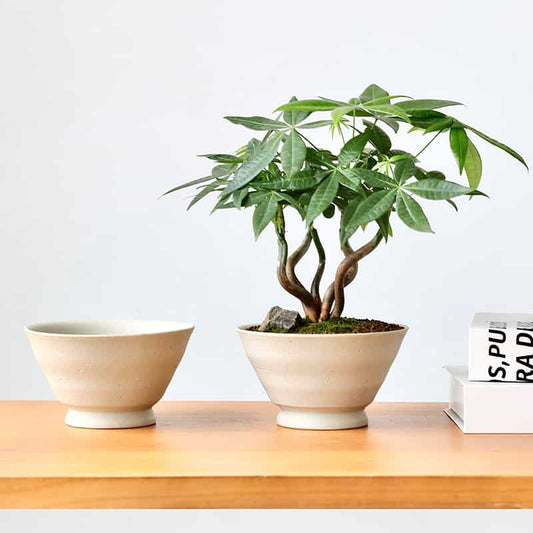 Japanese Rough Sand Bowl Planter - Wabi-Sabi Sand Textured Bowl Planter