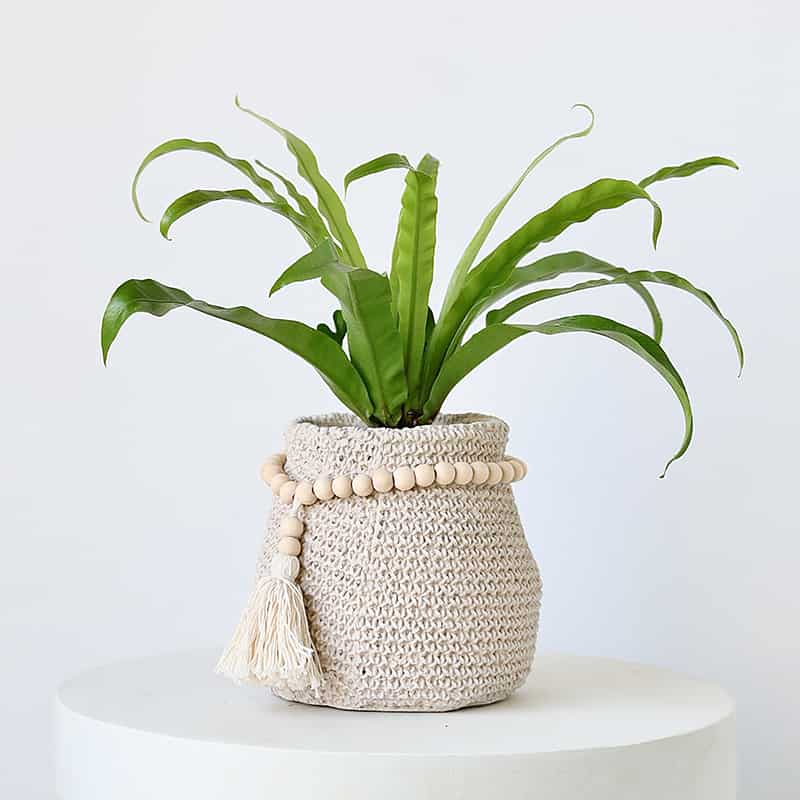 Bohemian Woven Plant Pot – Natural Cotton & Tassel Design
