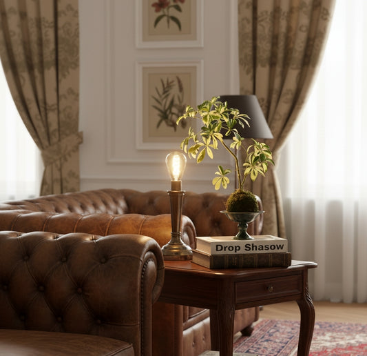 Ceramic Display Bowl – Pedestal Shape for Green Decor